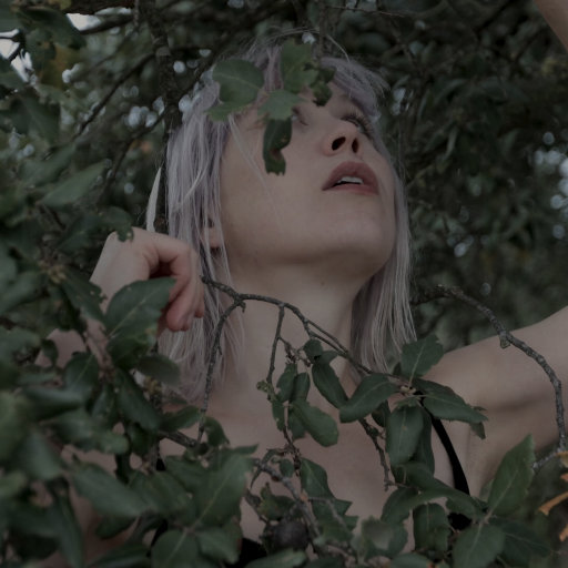 手机中文字幕AV在线
